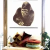 Quindici, il Gorilla - Danese Milano