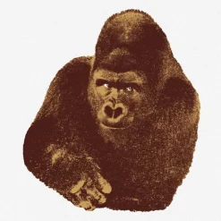 Quindici, il Gorilla - Danese Milano